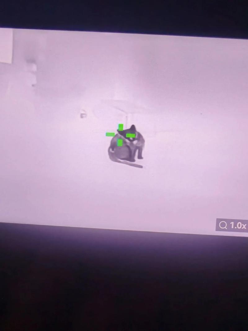 男生吃口红是什么梗